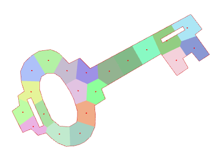 Visualization of cells after convergence in a domain in the form of a key.