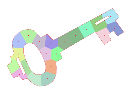 Visualization of cells after convergence in a domain **in the form of a key**.